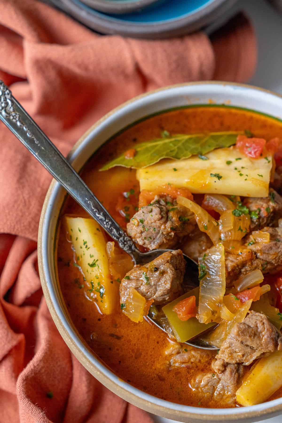 A bowl of beef stew featuring tender pieces of meat, potatoes, parsnips, onions, and peppers in a rich broth is garnished with herbs. It sits invitingly next to a folded orange cloth.