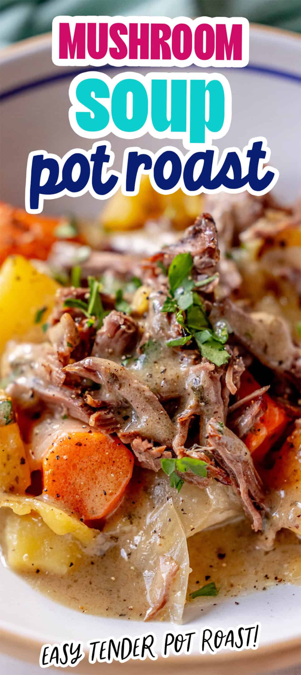 Close-up of a bowl filled with mushroom soup pot roast, showcasing tender meat, carrots, and herbs. This dish promises unrivaled tenderness in every bite with its rich mushroom infusion.