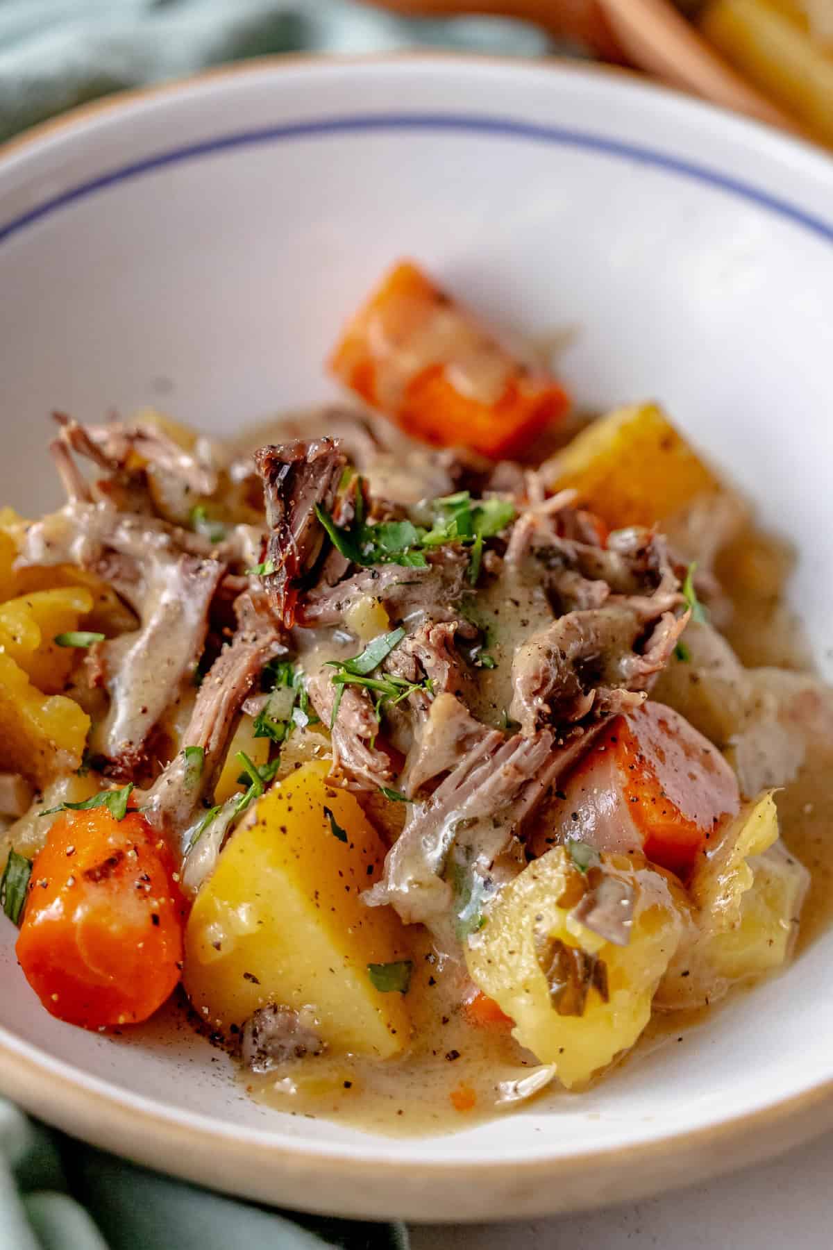 A bowl of beef stew with chunks of meat, carrots, and potatoes, reminiscent of a savory pot roast, garnished with herbs.