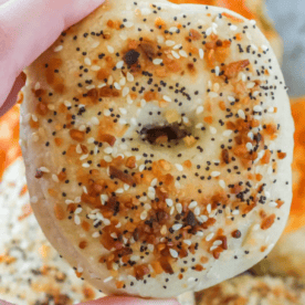 A close-up of a hand holding an everything bagel, crafted from sourdough discard, topped with sesame seeds, poppy seeds, dried onion, and garlic.