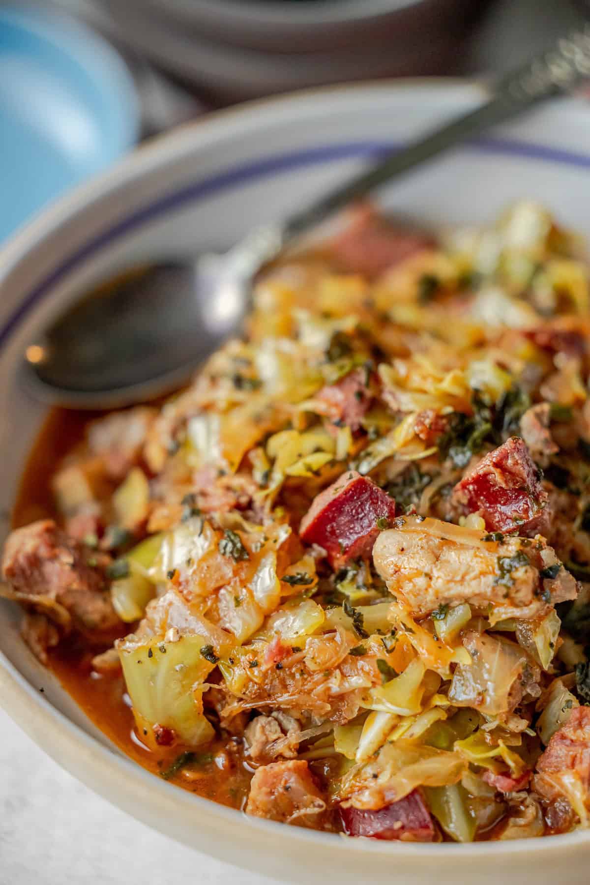 A hearty bowl of Bigos, a traditional Polish stew, filled with tender meat chunks, cabbage, and aromatic herbs, served with a spoon.