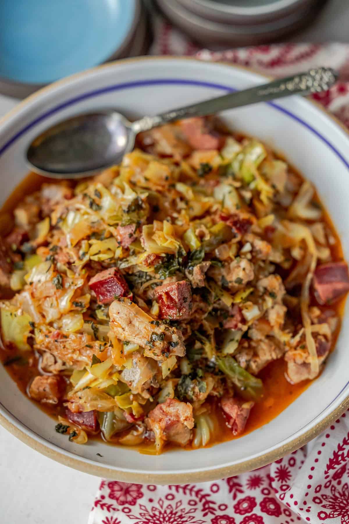 A bowl of homemade bigos, a traditional Polish stew with cabbage, vegetables, and diced meat, topped with fresh herbs. A spoon rests on the edge of the bowl.