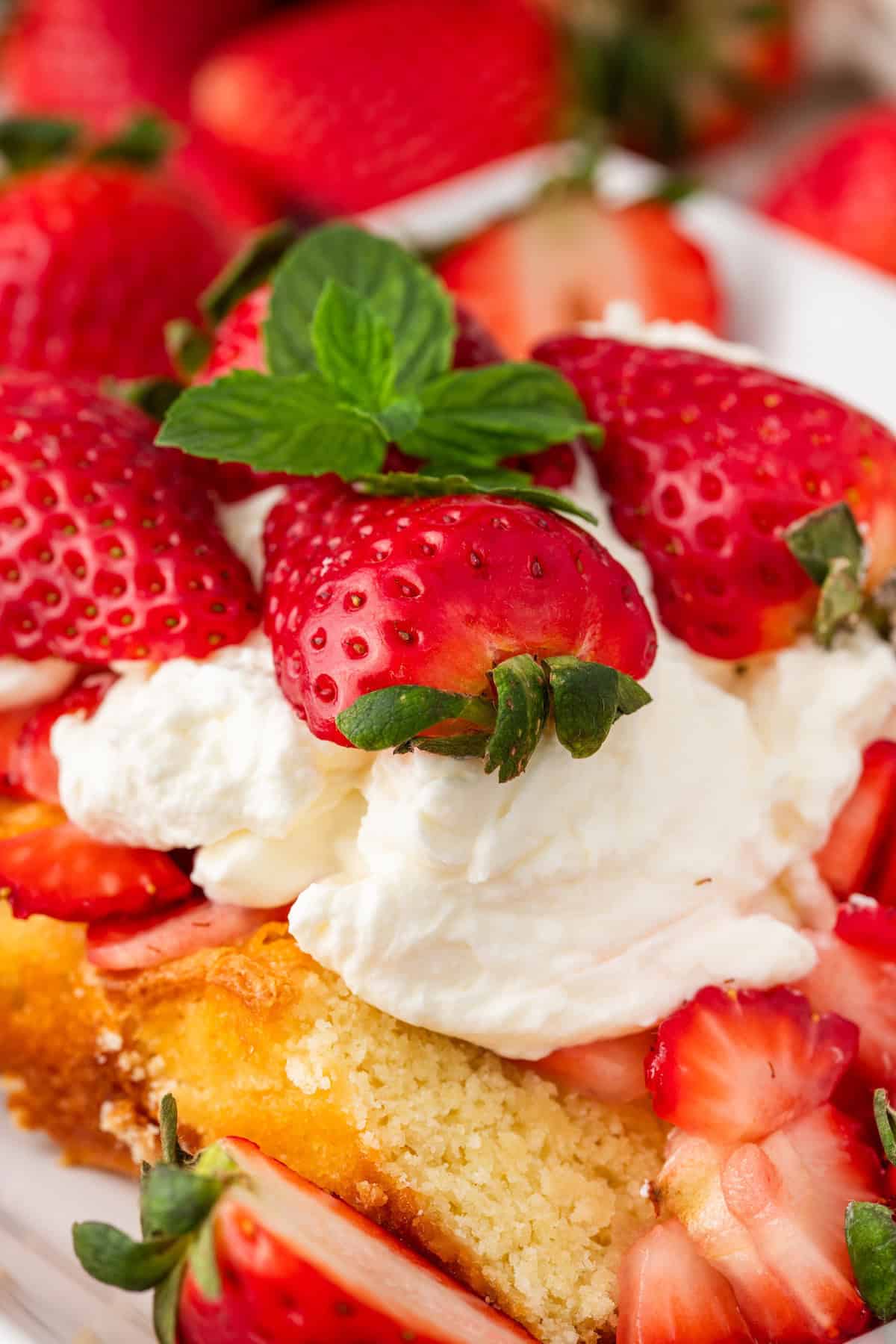 A delectable close-up of strawberry shortcake featuring layers of moist cake; it is beautifully adorned with fluffy whipped cream, fresh strawberries, and a sprig of mint.