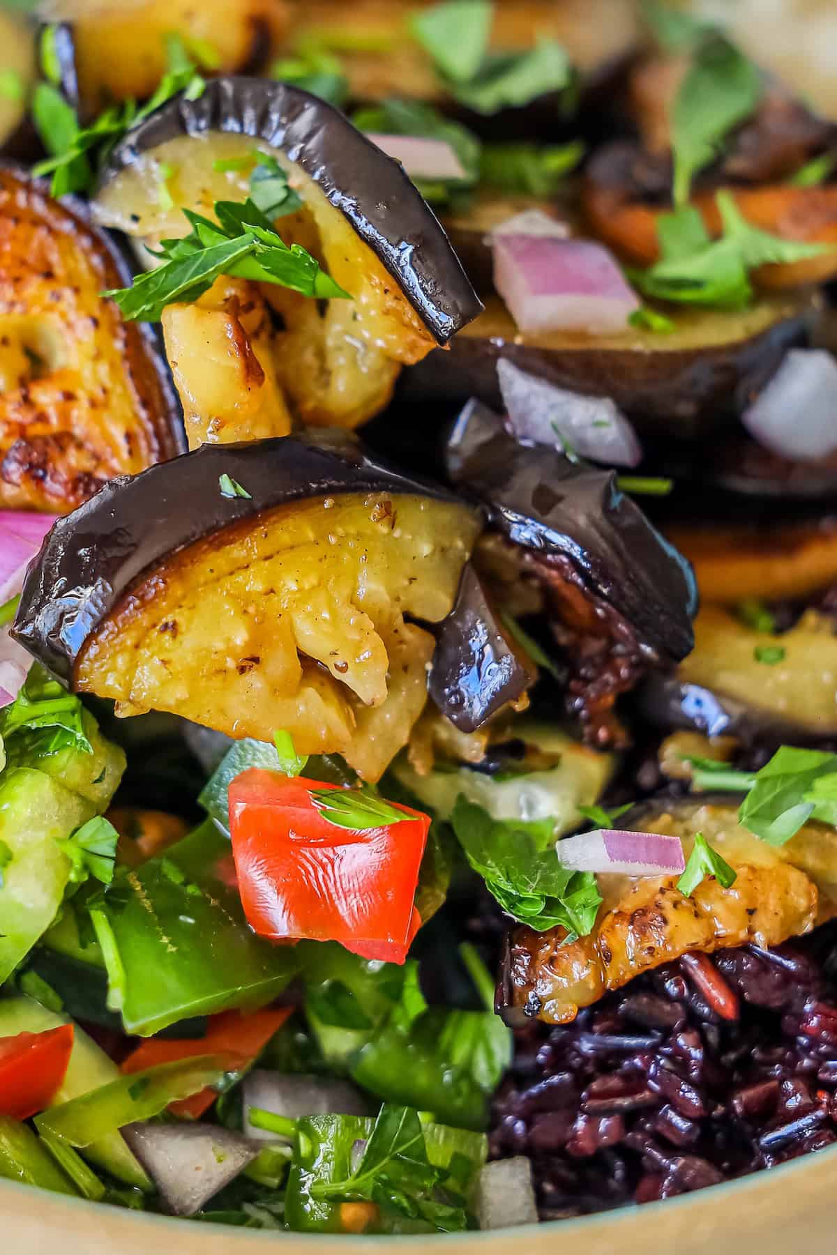 A close-up of a mixed salad with roasted eggplant slices, diced red onion, tomatoes, chopped herbs, and mixed greens.