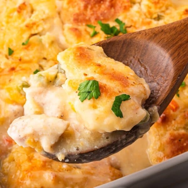 A wooden spoon scoops a portion of creamy Chicken Dumpling Casserole topped with parsley from a baking dish.
