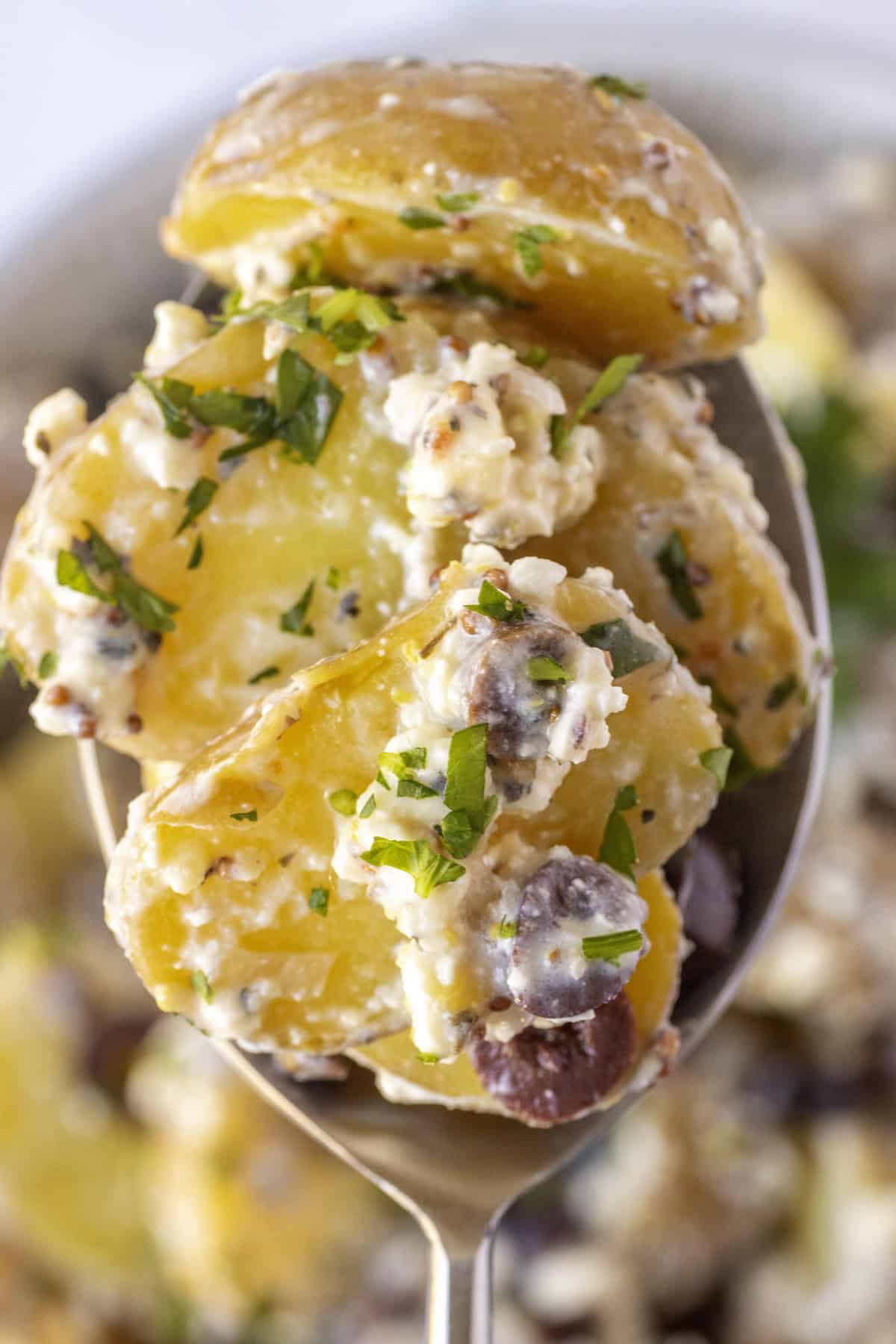 Close-up of a spoonful of potato salad with chopped parsley, sliced potatoes, creamy dressing, and small pieces of olives.