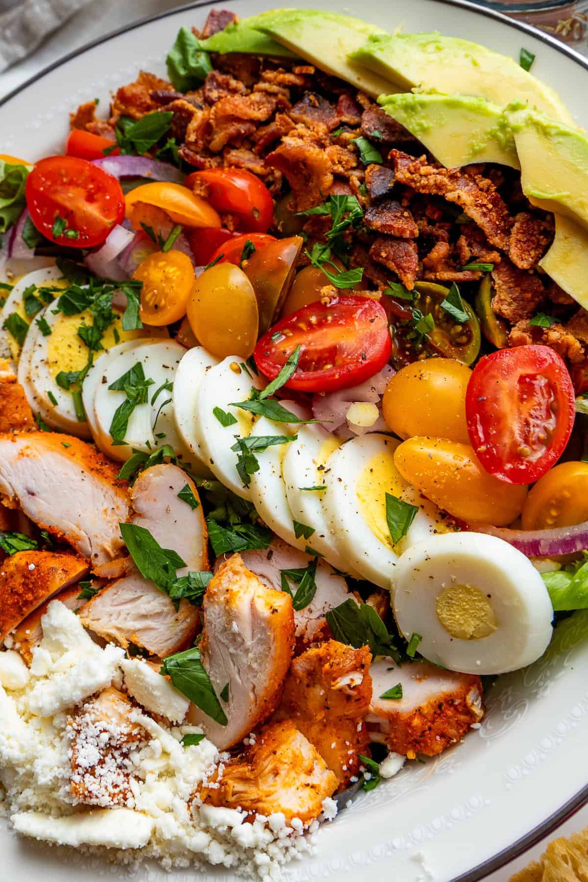 A plate of the best Cobb salad with sliced chicken, hard-boiled egg, cherry tomatoes, avocado, bacon, red onion, cheese, and fresh parsley on a bed of lettuce.