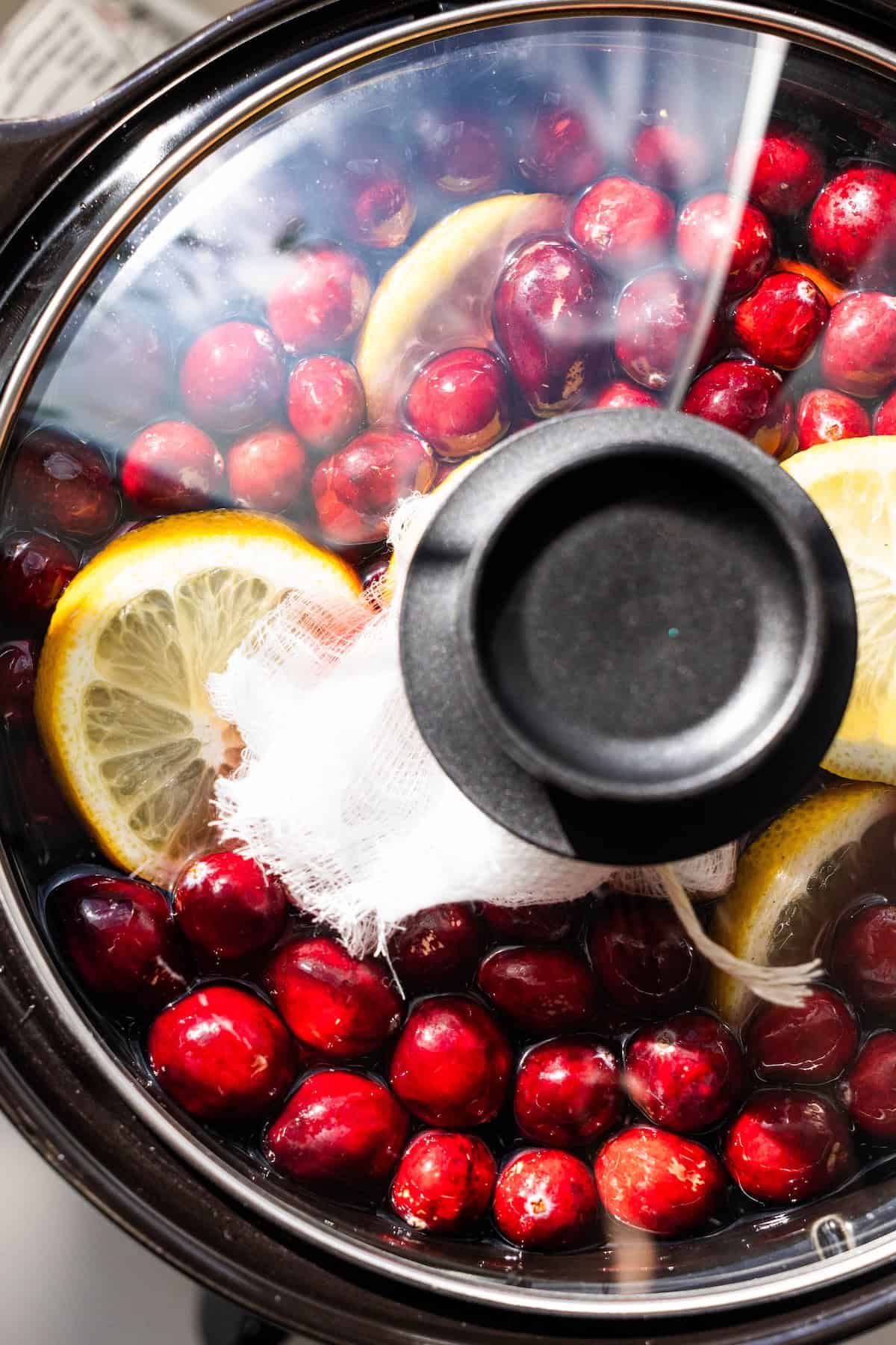 A slow cooker filled with whole cranberries, lemon slices, and a bundle wrapped in cheesecloth is seen through the glass lid, ready to become delicious mulled cranberry cider.