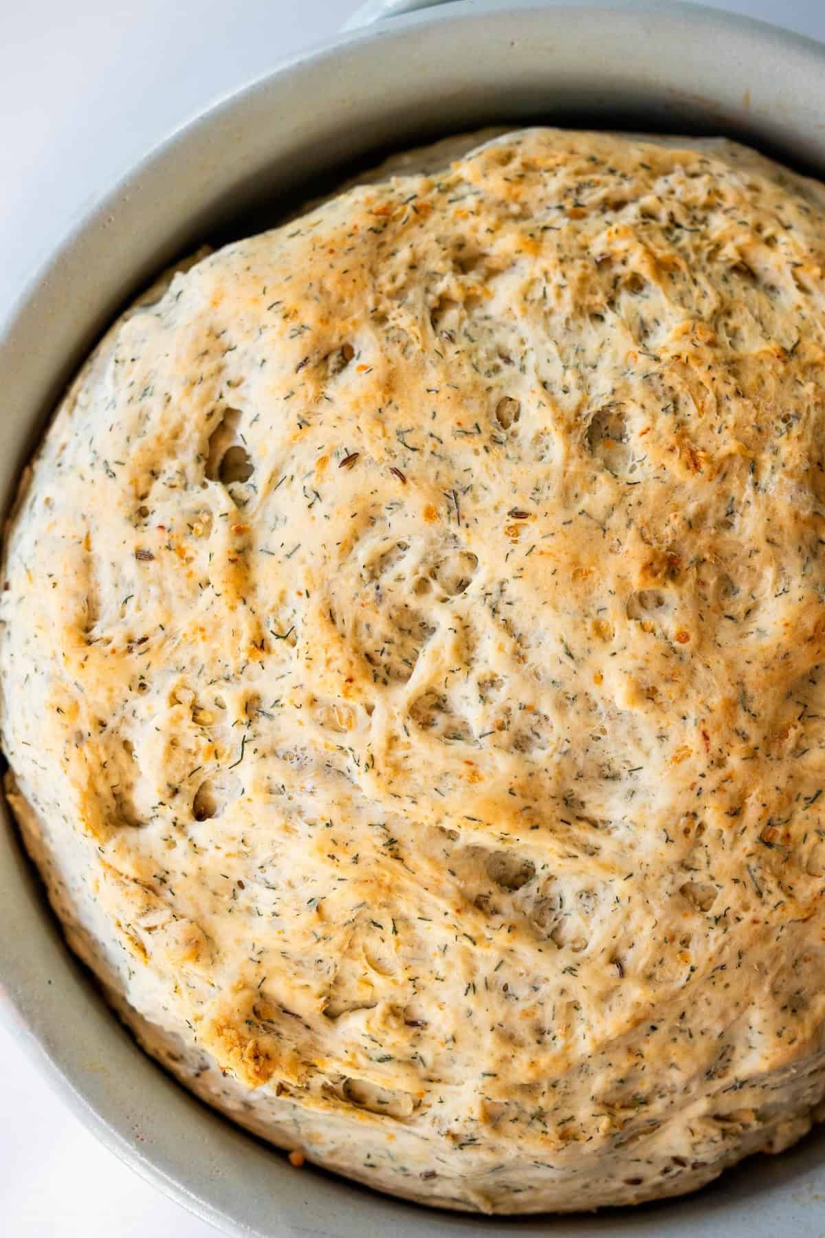 Close-up of risen dilly bread dough in a round bowl, showing an airy, textured surface with visible flecks of dill—perfect for your next dill bread recipe.