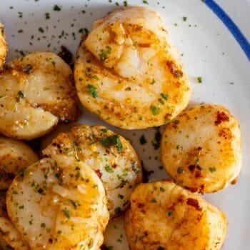 Close-up of Perfect Pan Seared Scallops, seasoned with herbs and spices, arranged on a white plate with a blue rim.
