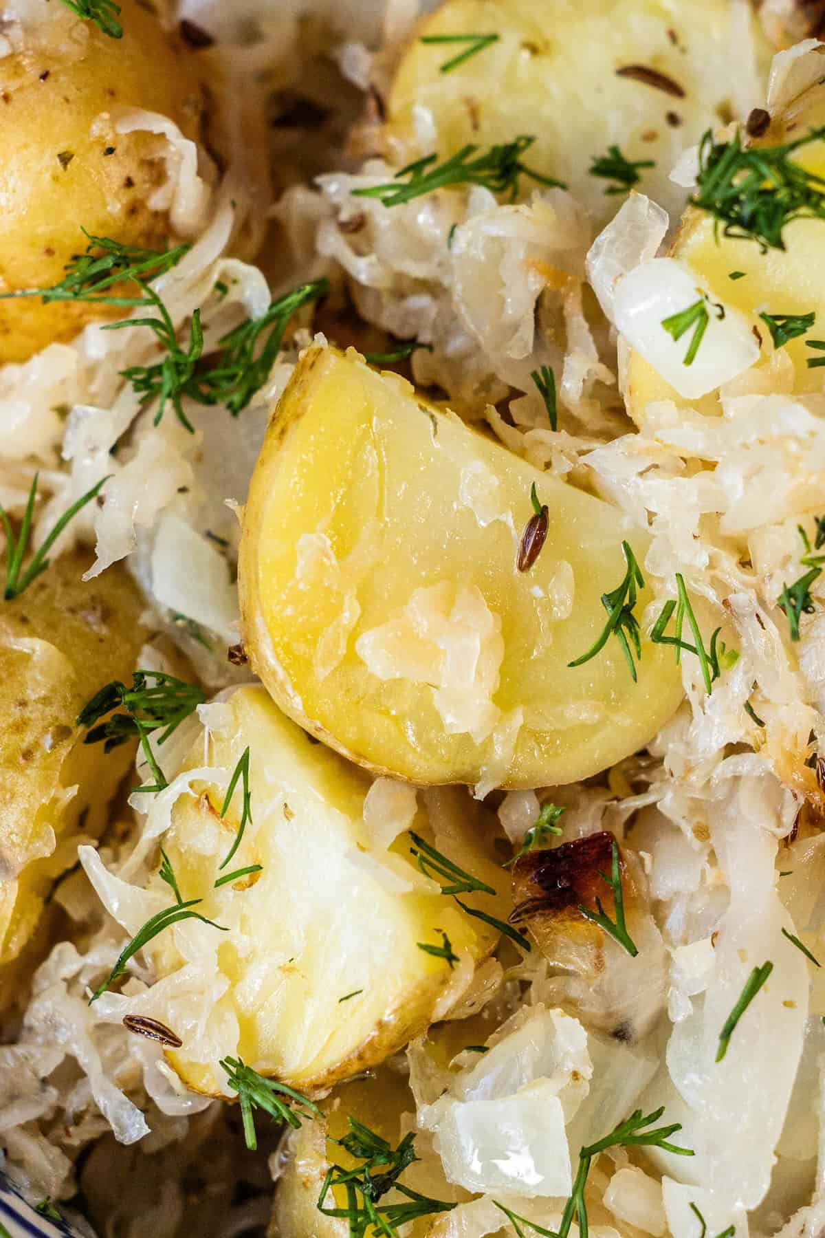 Close-up of roasted potatoes mixed with sauerkraut, chopped onions, caraway seeds, and garnished with fresh dill.