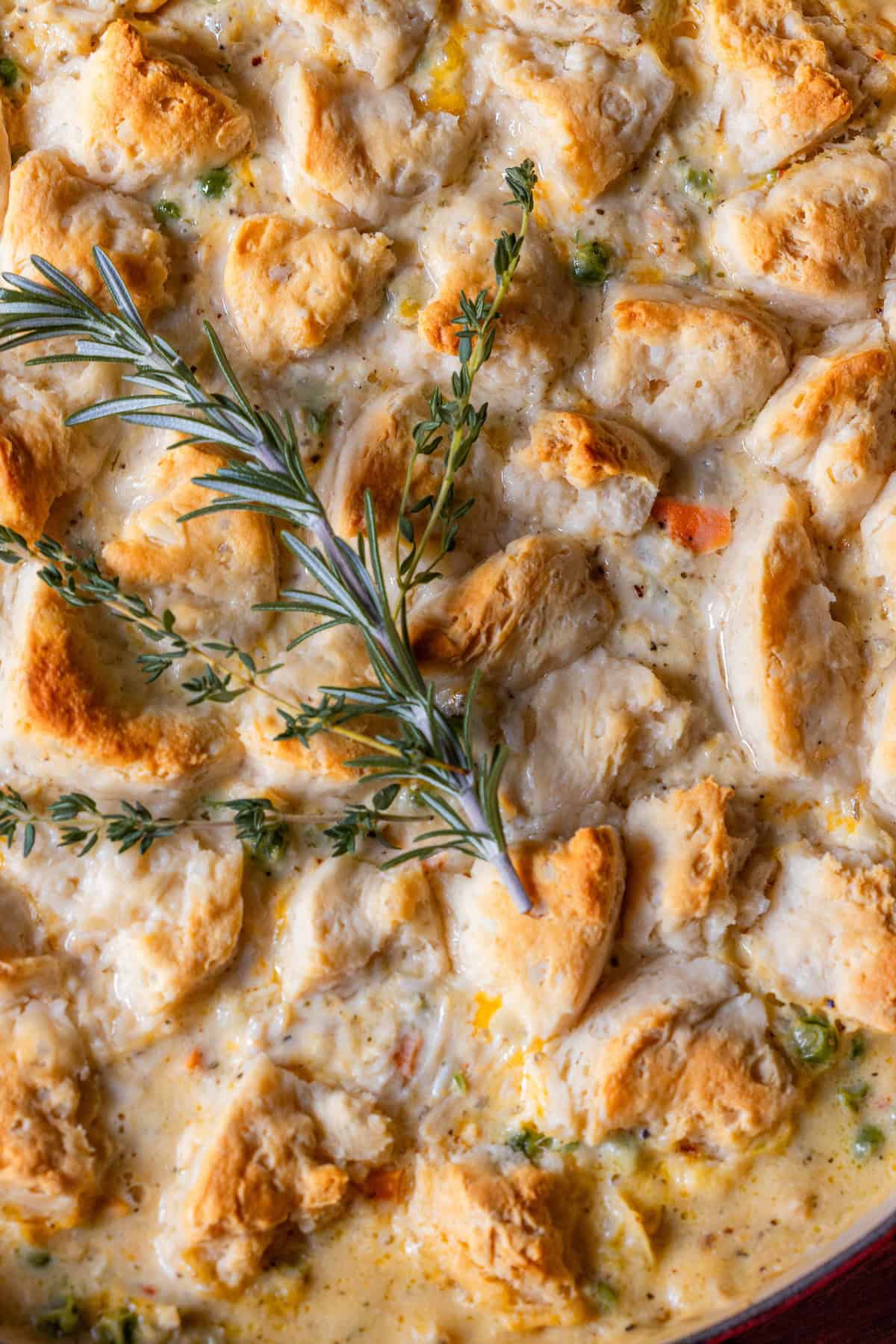 Baked turkey casserole topped with golden biscuit pieces, garnished with sprigs of rosemary and thyme—a comforting twist on classic biscuit casserole, perfect for using up leftover turkey.