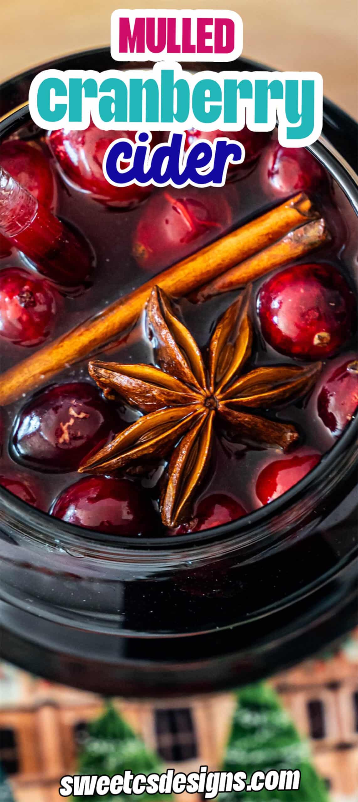 A close-up of Mulled Cranberry Cider in a glass, garnished with whole cranberries, a cinnamon stick, and a star anise.