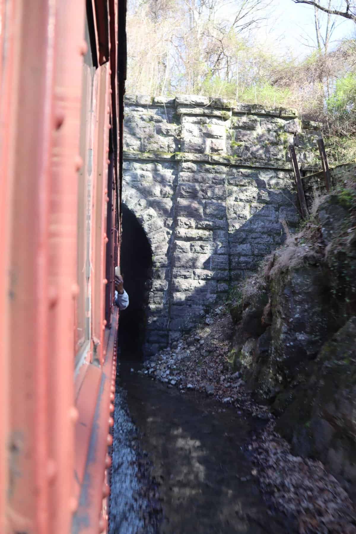A red train enters a stone tunnel through a wooded hillside, with a passenger's hand visible out the window.