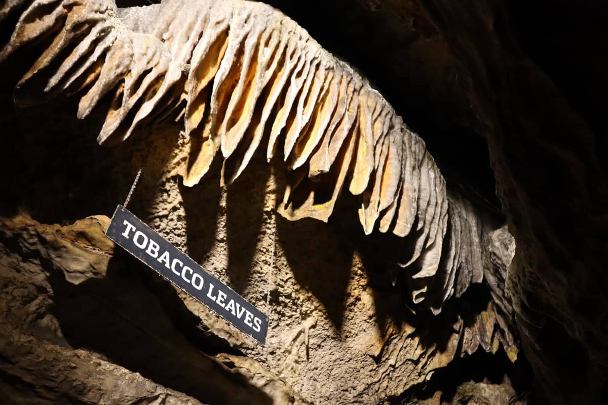 Rock formation in a cave labeled "Tobacco Leaves," with long, thin, overlapping stone structures resembling leaves.