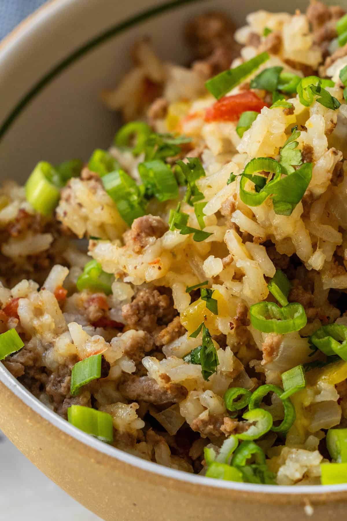 A close-up of a bowl filled with baked rice, ground meat, chopped green onions, and herbs—perfect for anyone craving a comforting baked dirty rice recipe.