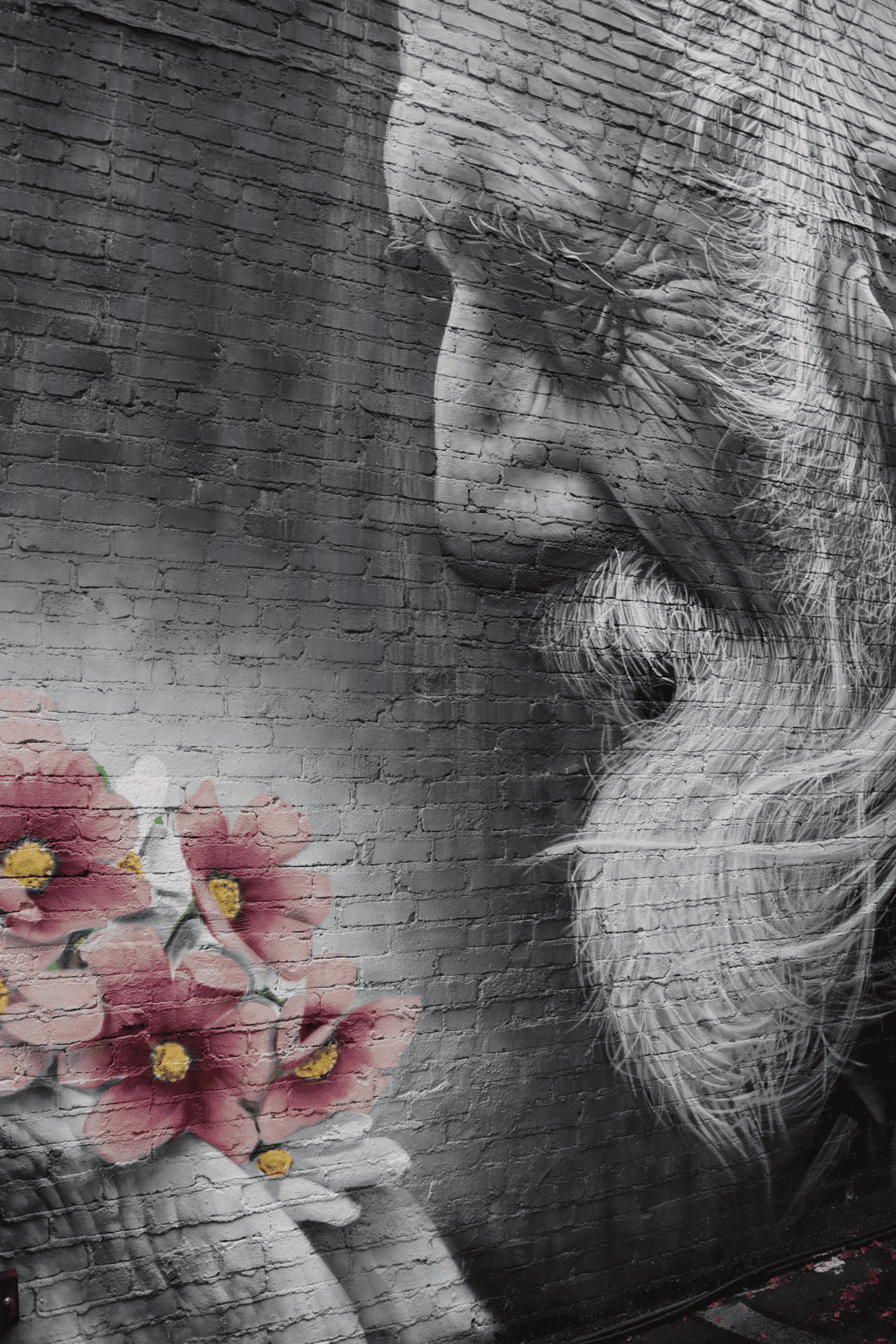 Black and white mural of an elderly man's face in profile with a detailed beard, looking at a cluster of pink flowers painted on a brick wall.