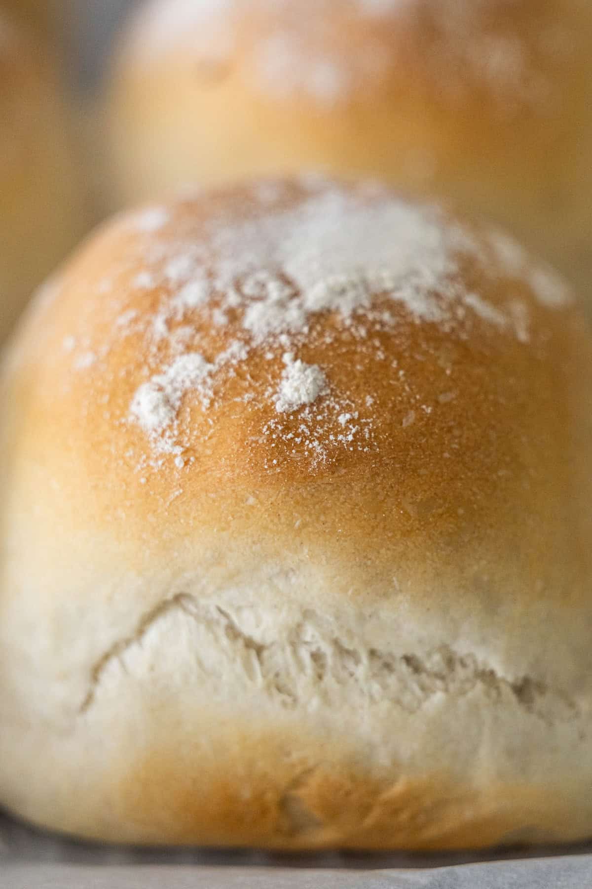 A close-up of a golden-brown Scottish morning roll dusted with flour, showing a light crust and a soft texture.