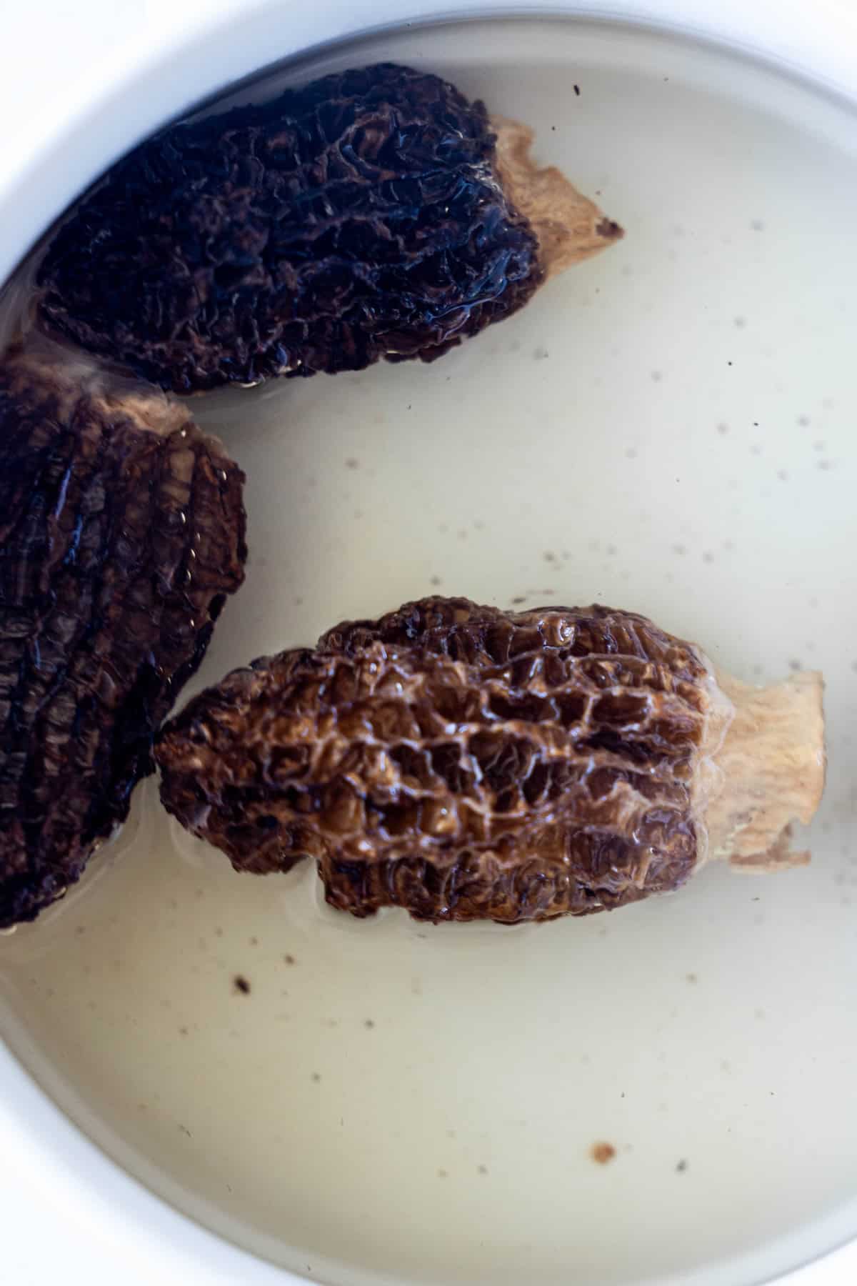 Three dried morel mushrooms are soaking in a bowl of water, ready to add their rich, earthy flavor to your next Armenian beef or tahini salad recipe.