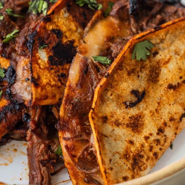 Close-up of two Birria Tacos with crispy, browned tortillas, filled with shredded beef and garnished with cilantro.